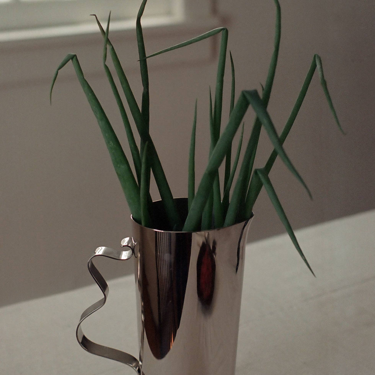 Silver cup with green plants on a white surface