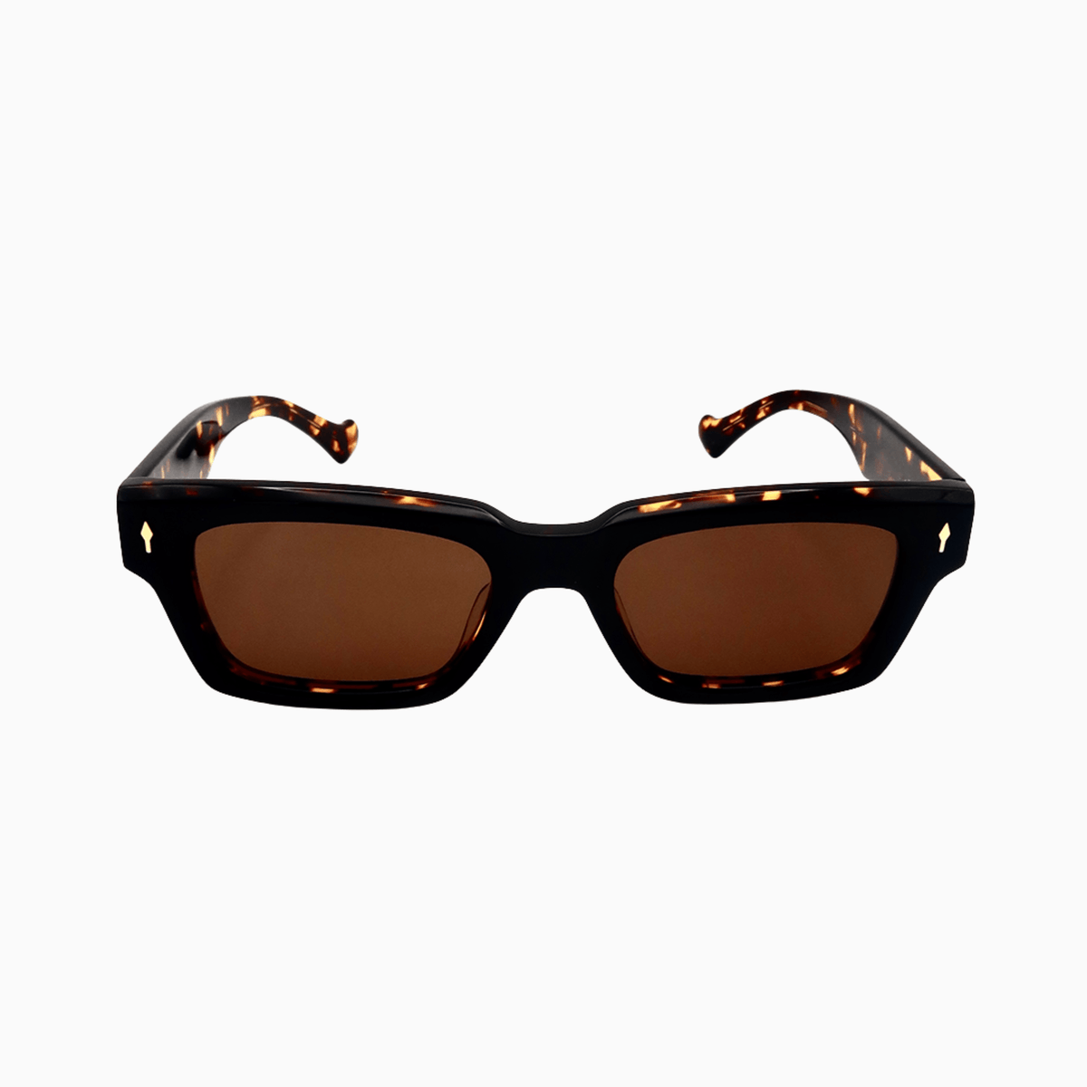 Farringdon Tortoise sunglasses worn