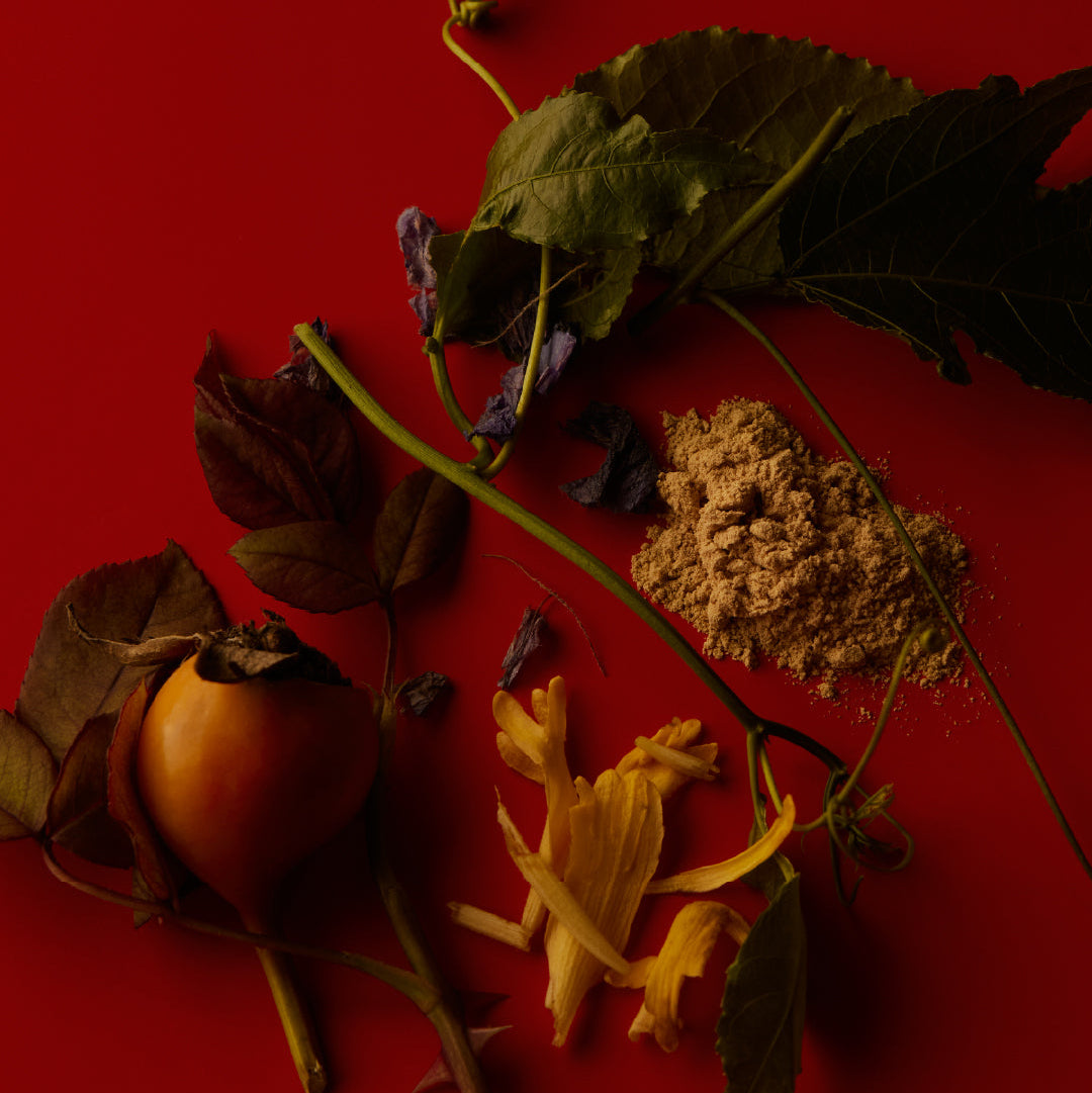 Dried leaves, flowers, and a fruit on a red background