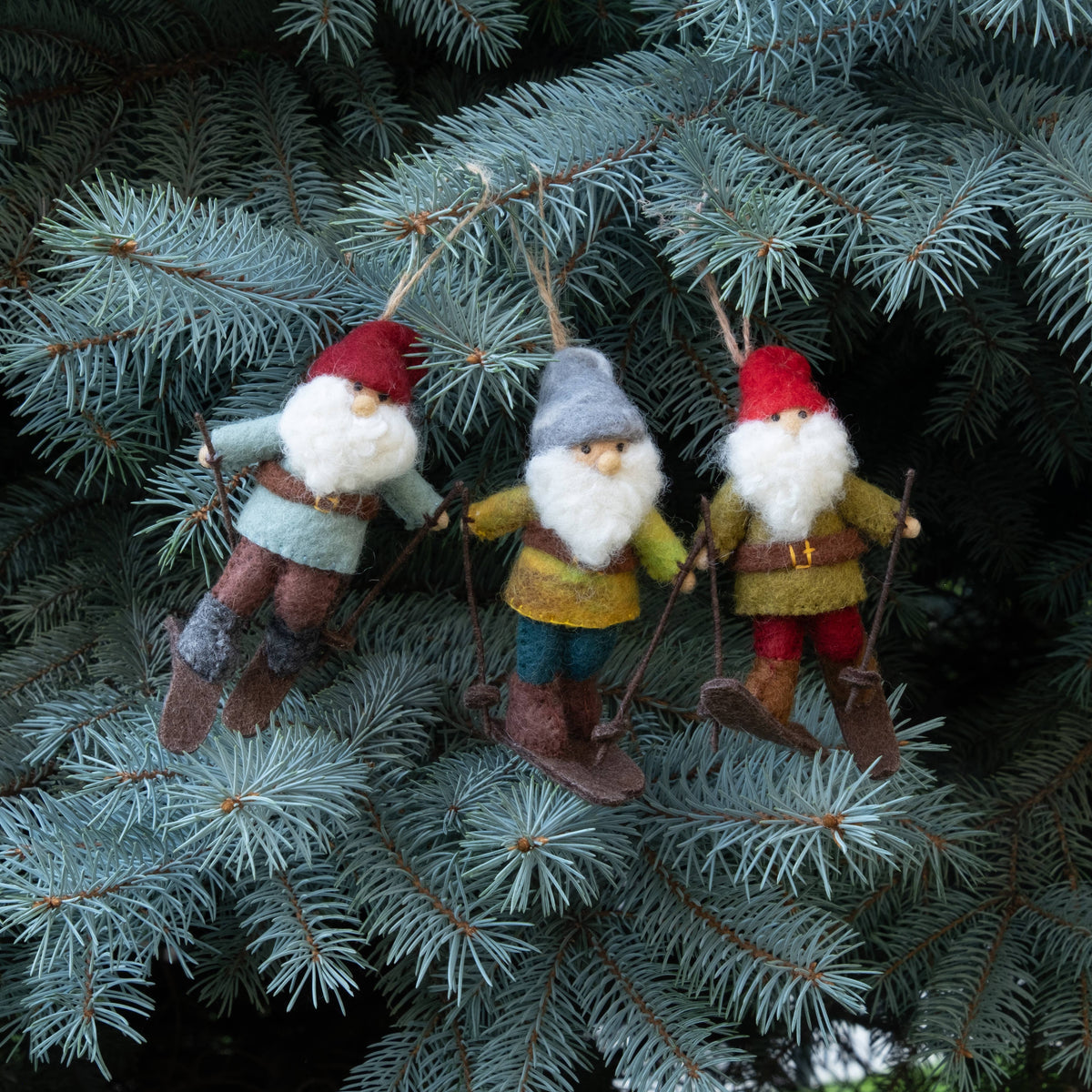 Ornament - Christmas Decor - Gnome on Skis, Assorted