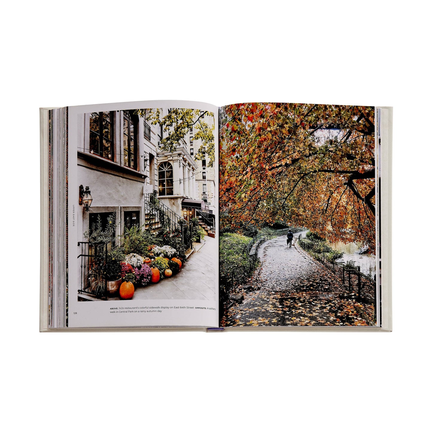 Walk With Me: New York: Photographic stroll through New York streets capturing serendipitous, everyday urban poetry