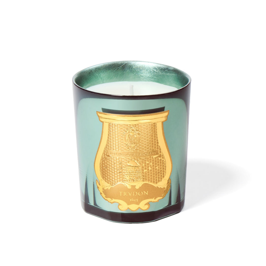 Trudon Fir Holiday 2026 Classic Candle 270g