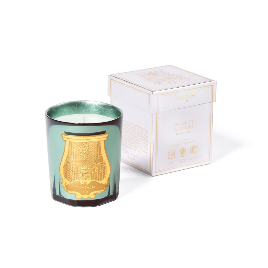 Trudon Fir Classic Candle