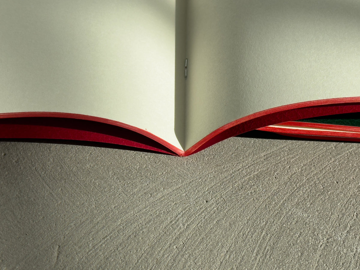 Bieffe Roma brown notebook, lined pages