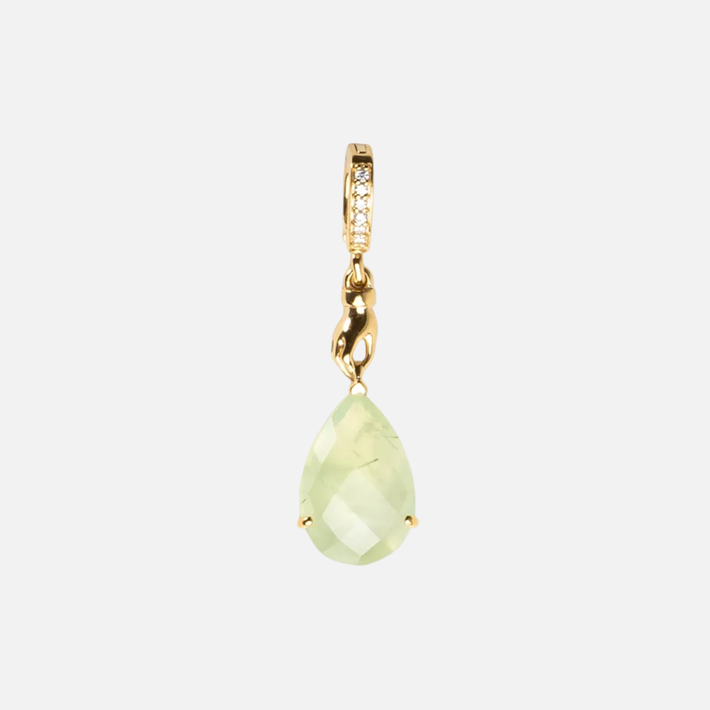 Splendore Charm