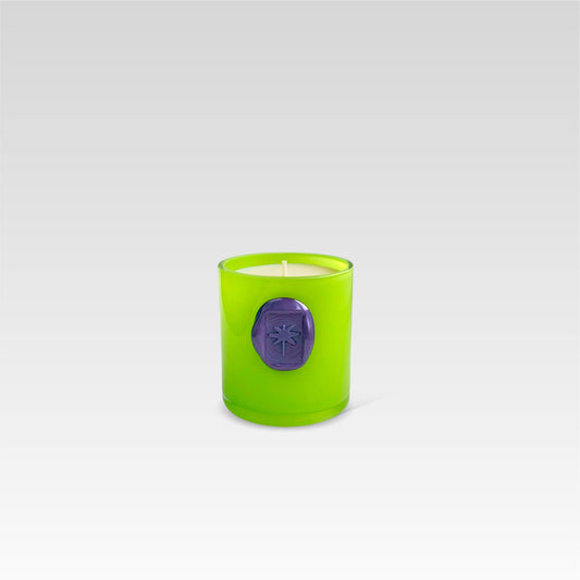 IMPRINTS Candle - The Dragonfly by Ursula Futura