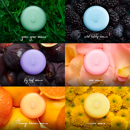 Wax Melt Multipack (6 Aromas)