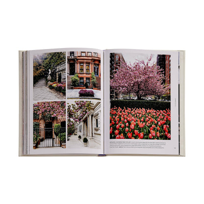 Walk With Me: New York: Photographic stroll through New York streets capturing serendipitous, everyday urban poetry