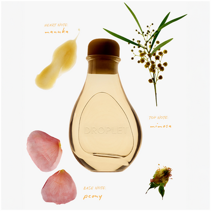 Droplet Reed Diffuser - Happy lifestyle