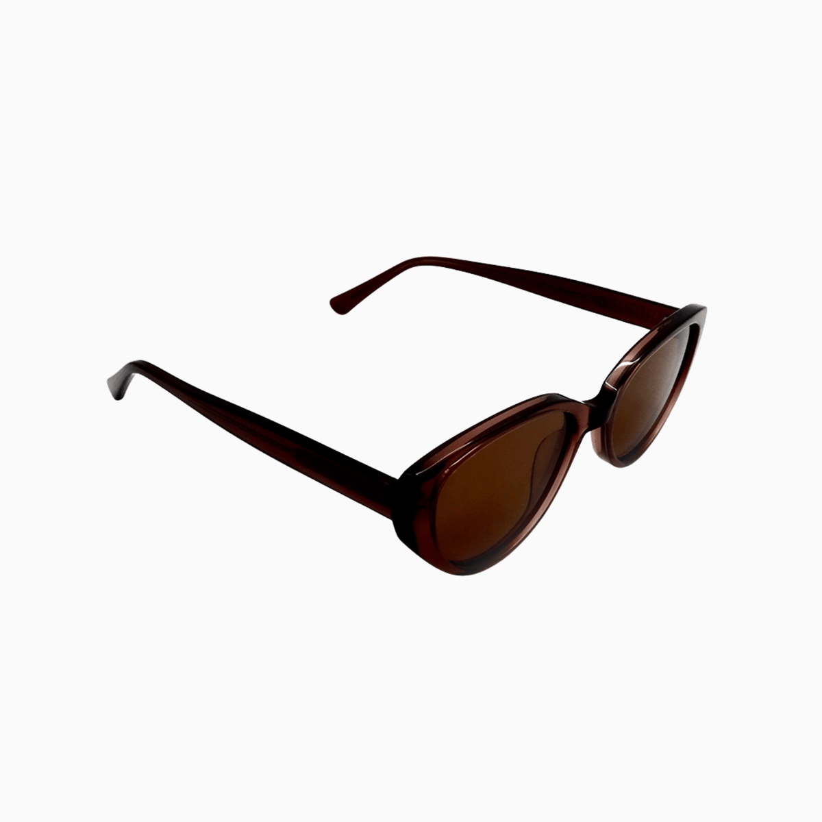 Richmond Latte sunglasses detail